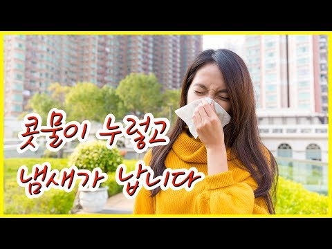 [동영상] 알레르기비염이 있는데 최근에는 콧물이 누…