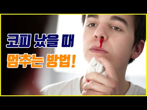 코피 났을 때 멈추는 방법 지혈 대처법
