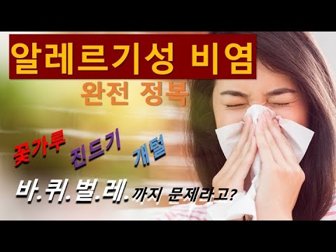 알레르기 비염 원인과 치료방법 완전정복 [하나이비…