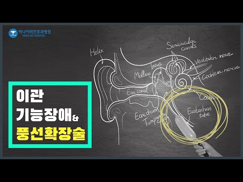 이관의 기능 및 이관풍선확장술
