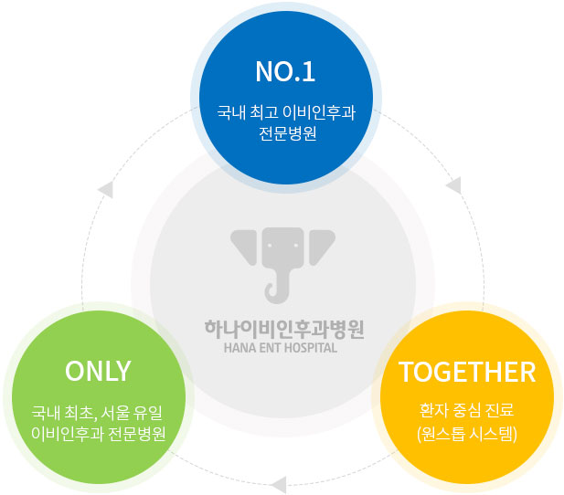 NO.1, ONLY, TOGETHER 세 가지 가치를 나타낸 하나이비인후과병원 상징 다이어그램